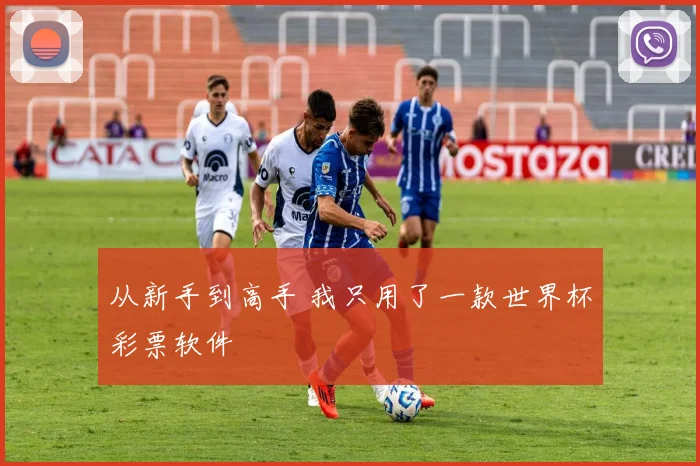 从新手到高手 我只用了一款世界杯彩票软件